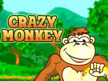 Crazy Monkey